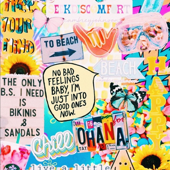 Meet your Posher, Connor - Picture 1 of 1